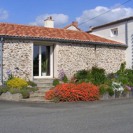 Chambres D'Hotes Vignes Et Loire Drain Екстериор снимка