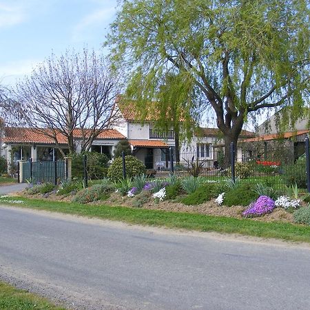 Chambres D'Hotes Vignes Et Loire Drain Екстериор снимка