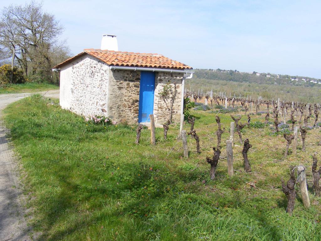 Chambres D'Hotes Vignes Et Loire Drain Стая снимка