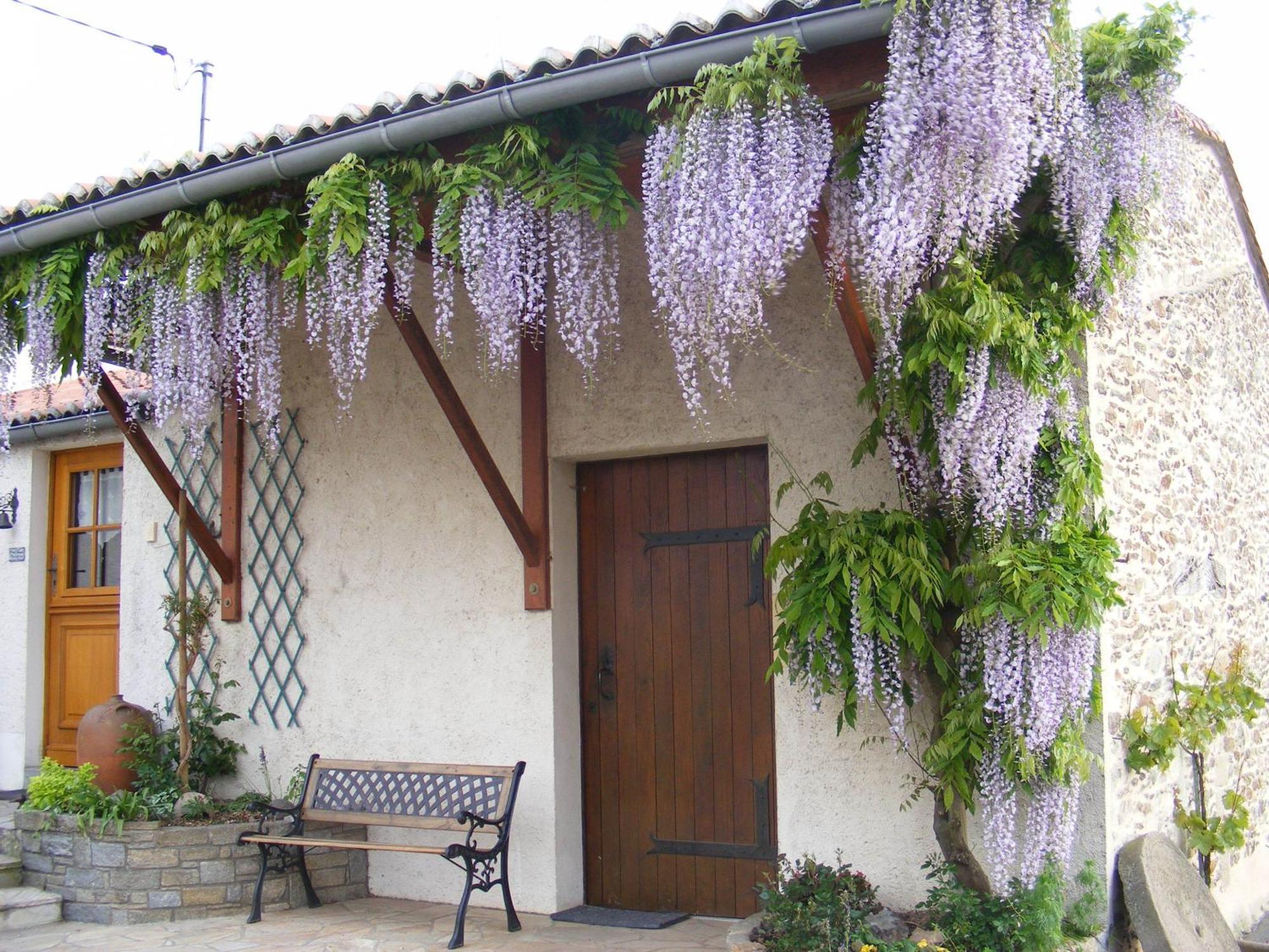 Chambres D'Hotes Vignes Et Loire Drain Екстериор снимка