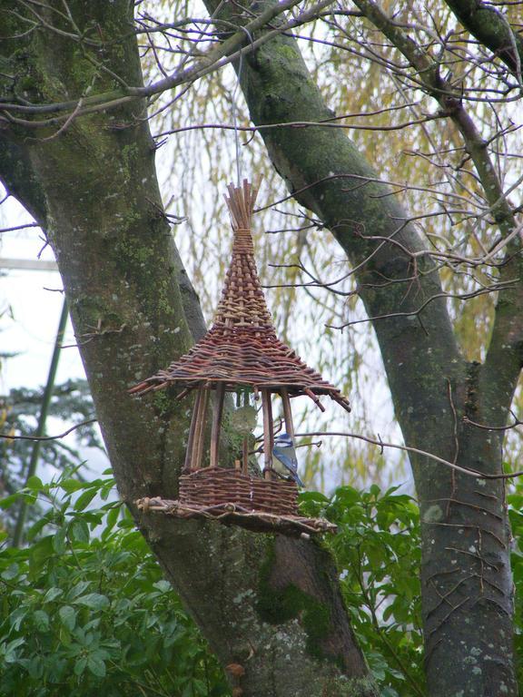 Chambres D'Hotes Vignes Et Loire Drain Екстериор снимка