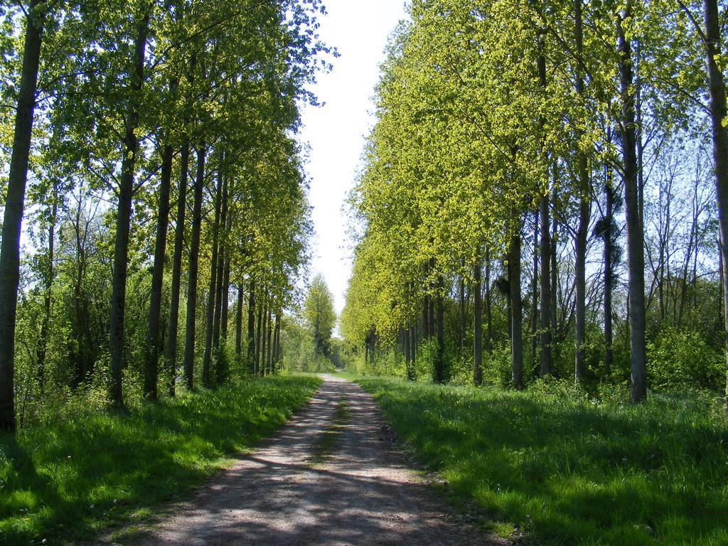 Chambres D'Hotes Vignes Et Loire Drain Екстериор снимка